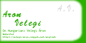 aron velegi business card